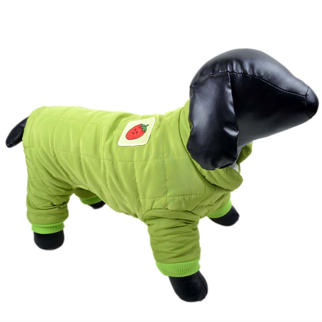 Green dog coat with warm lining
