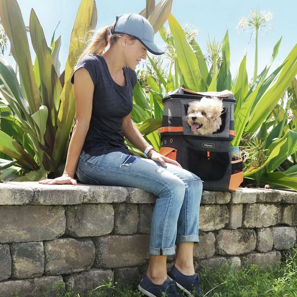 With this dog backpack your darling can always be with you