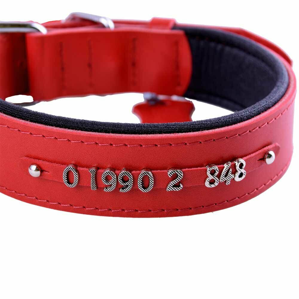 GogiPet® name collars and number collars