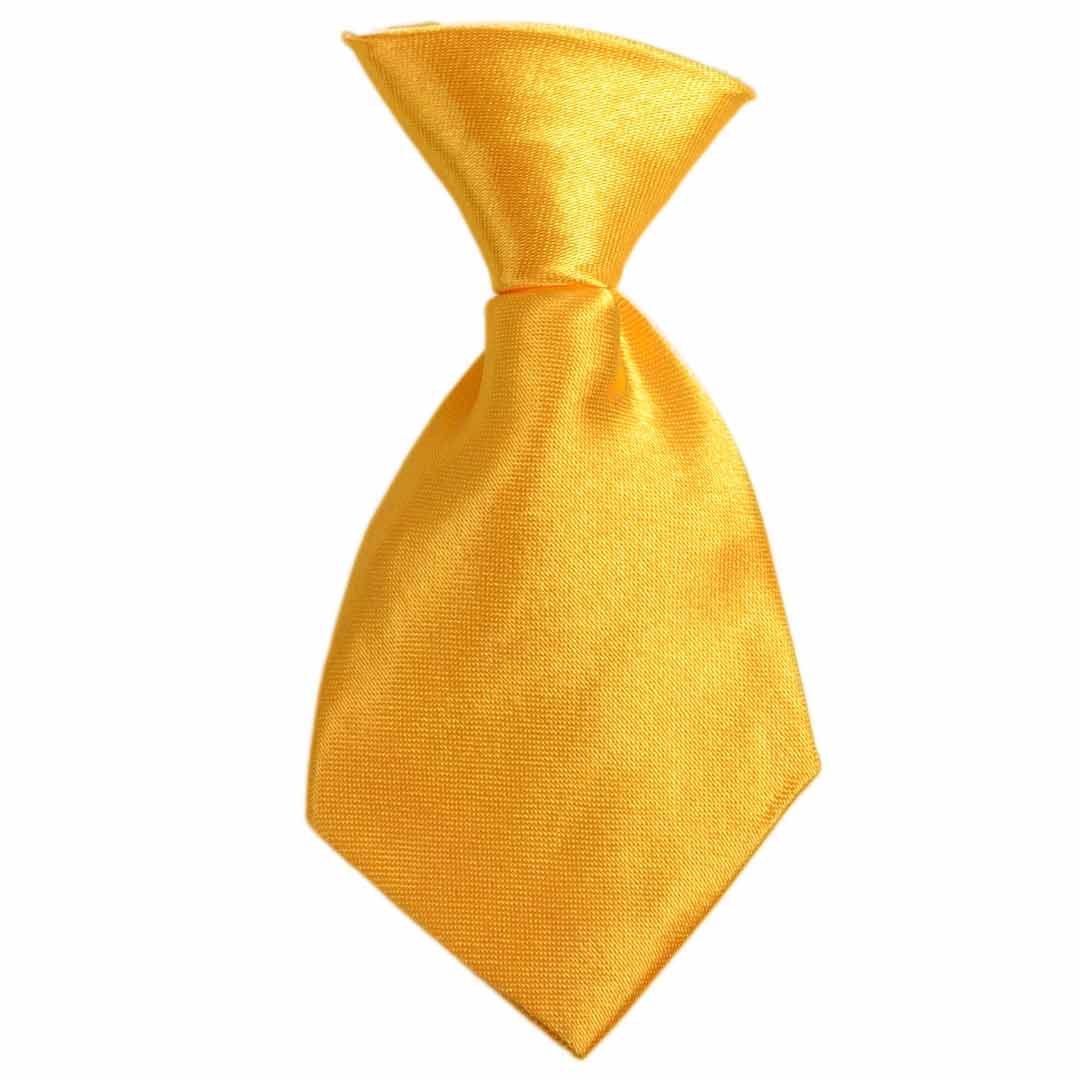 Sun Yellow Self Tie for Dogs