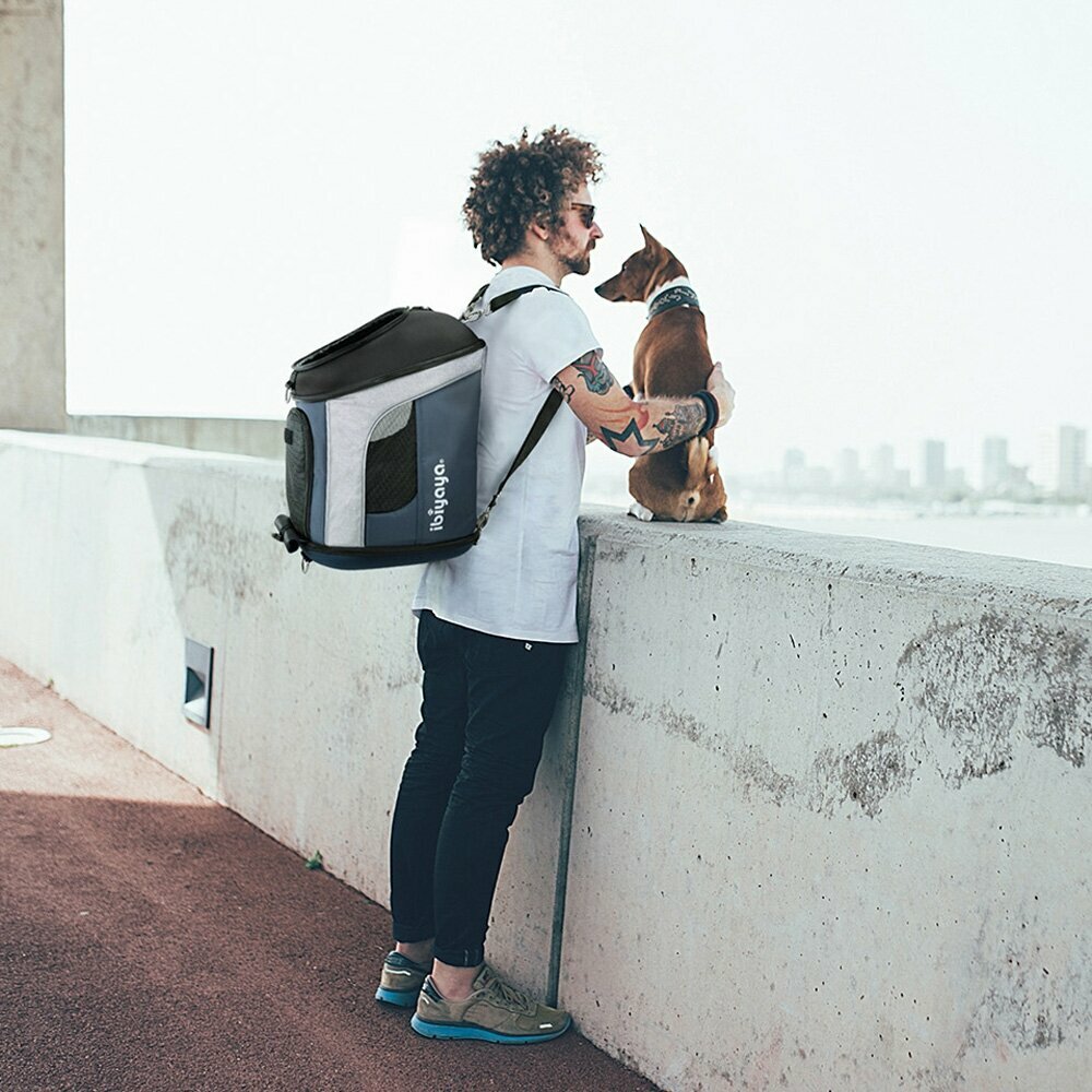 Travel pet carrier for dogs - flight bag