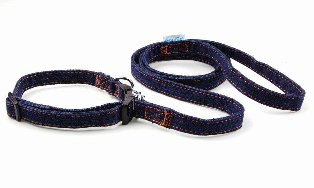 Blue Jeans dog leach 23 - 40 cm and dog collar