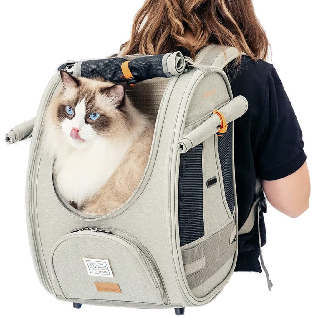 Cat Backpack Delux from GogiPet