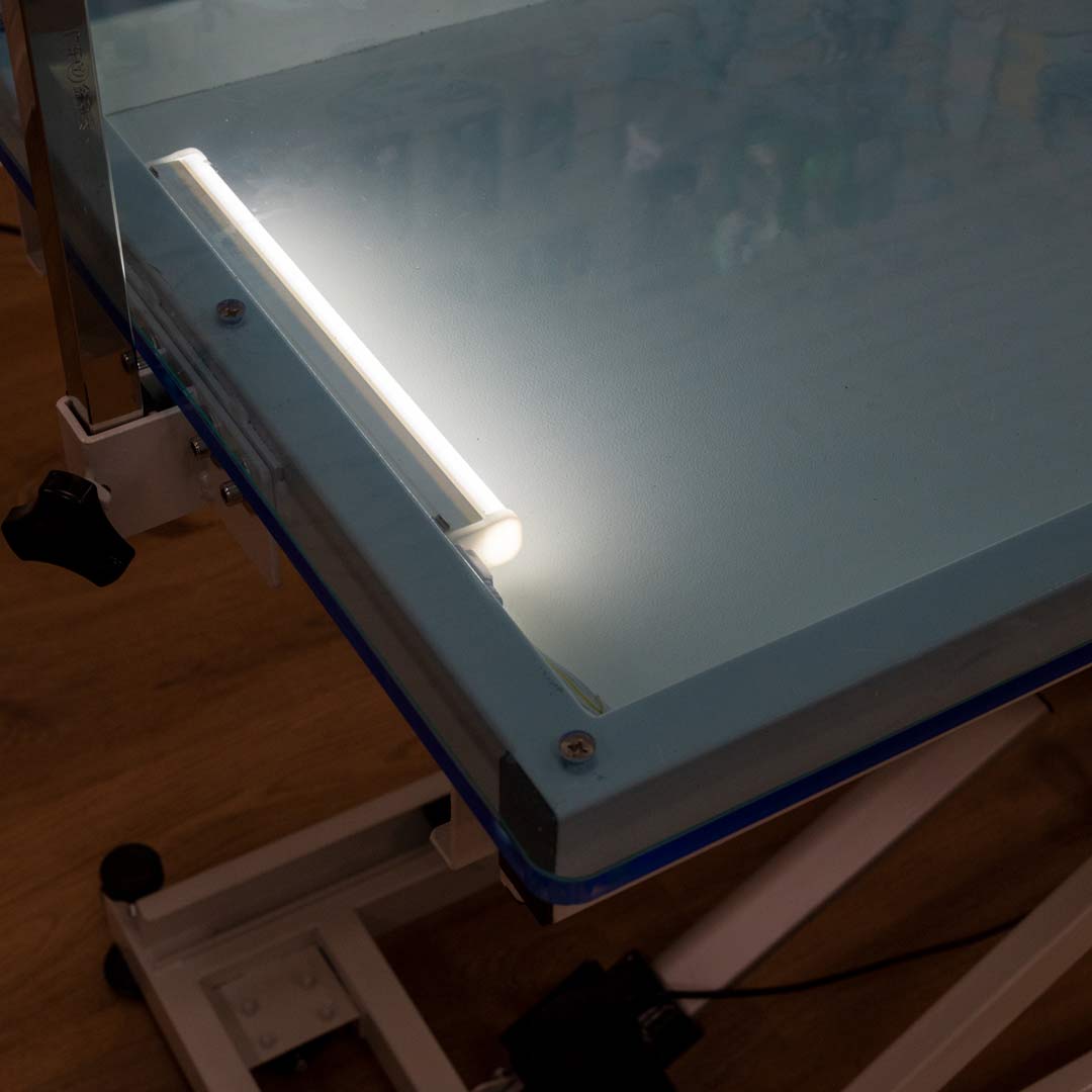 Pet grooming table with light from GogiPet