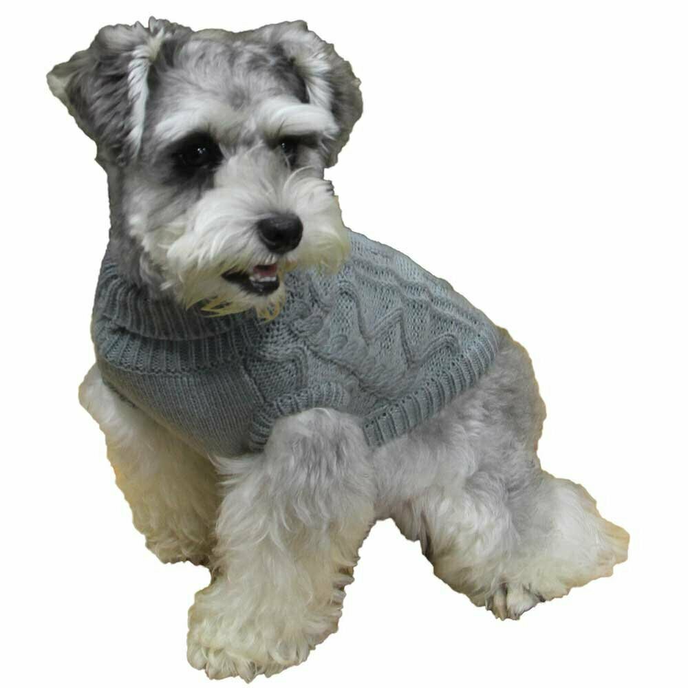 Warm dog pullover for autumn and winter