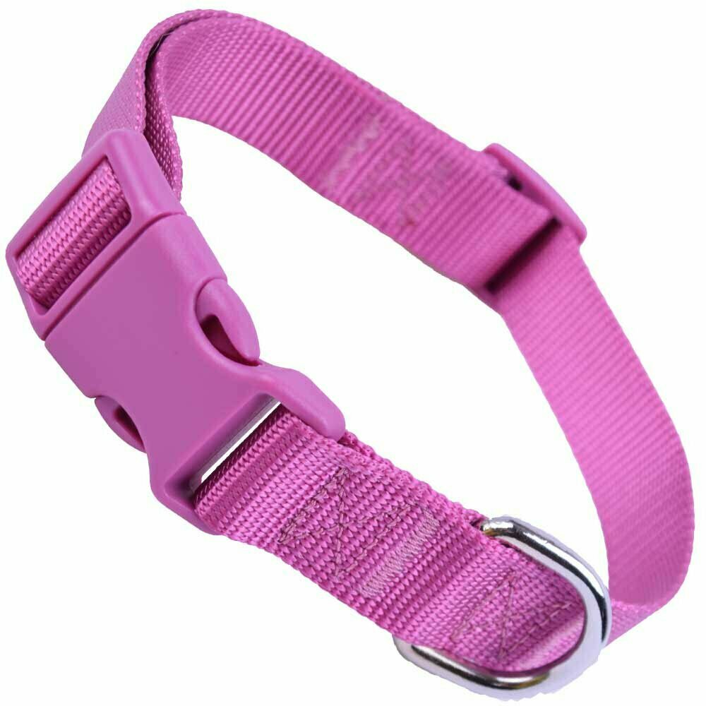 Purple GogiPet® Super Premium Nylon dog collar with quick release fastener