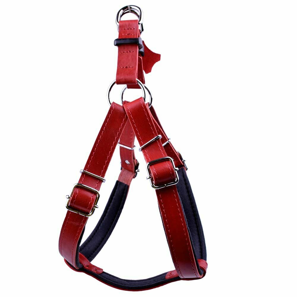 Leather dog harness from GogiPet®