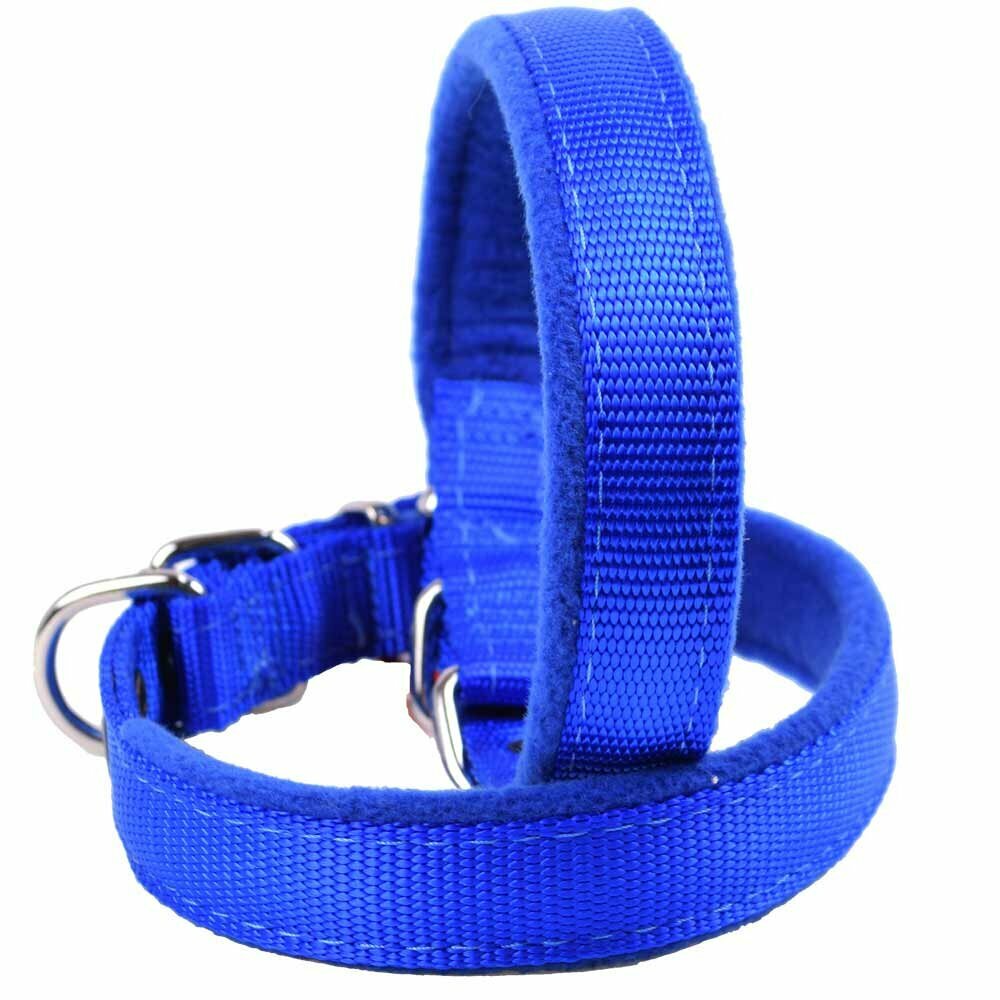 Cuddly soft dog collar lined with soft fleece blue