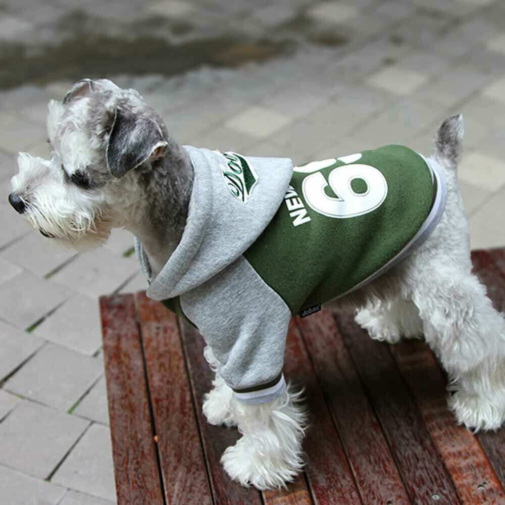 Warm dog clothes - green sports jacket