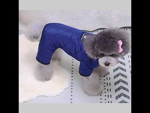 Dark blue snowsuit - warm dog clothing for the winter