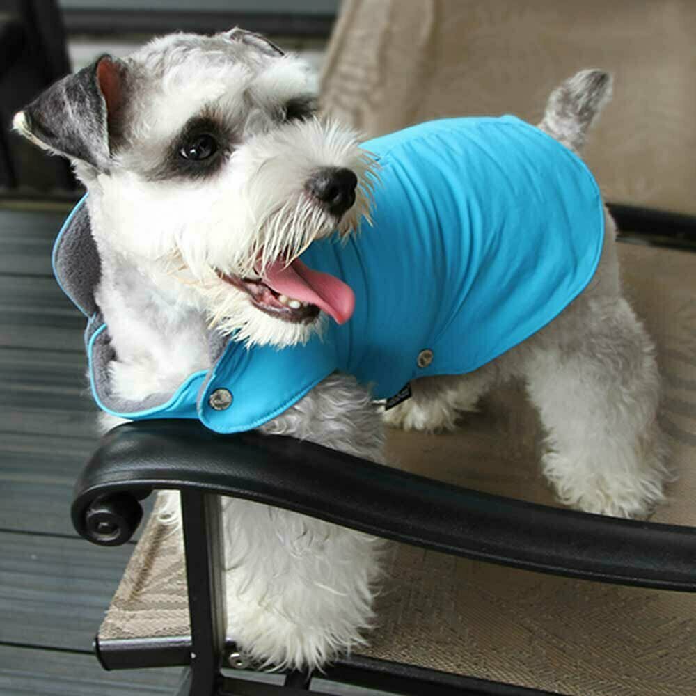 Warm dog coat blue
