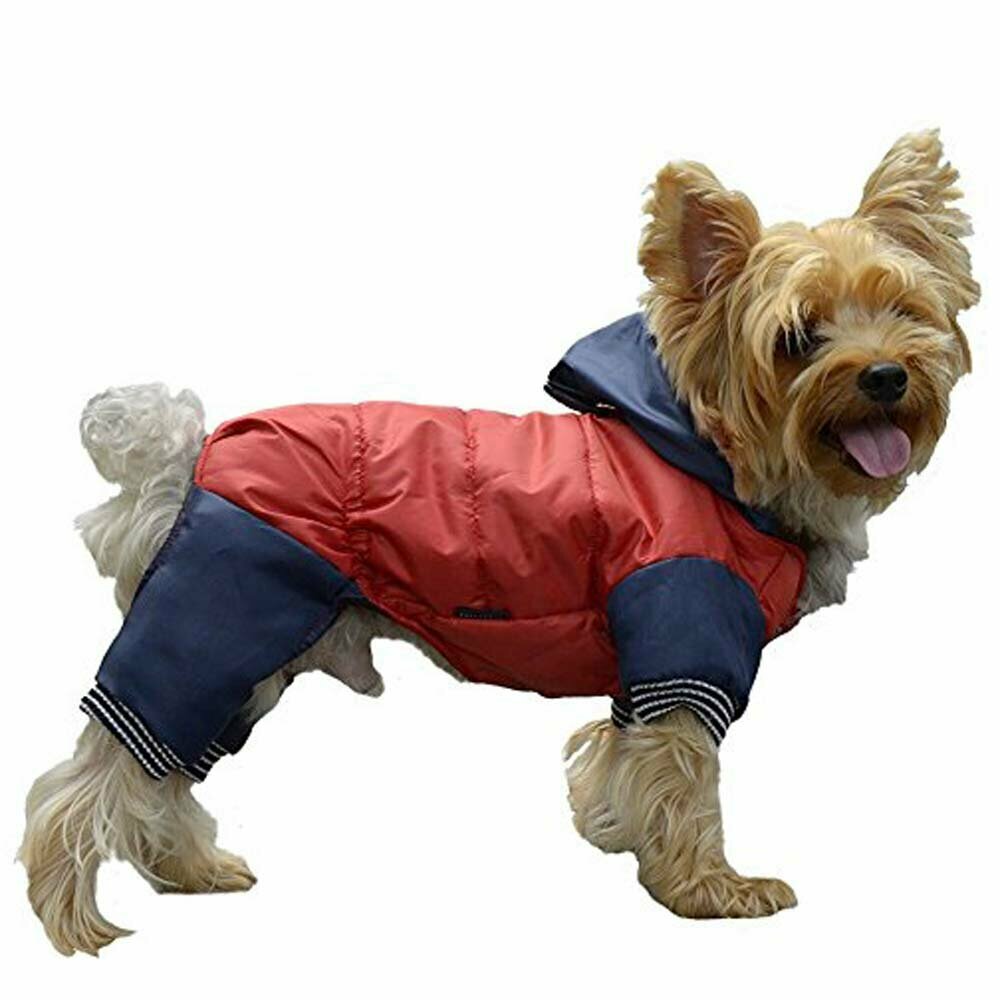 Red Blue snowsuit for dogs