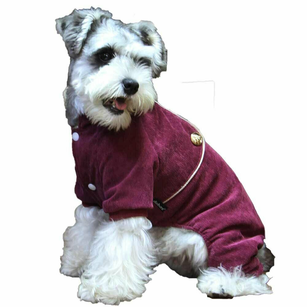 Noble dog clothes royal cord dog coat red