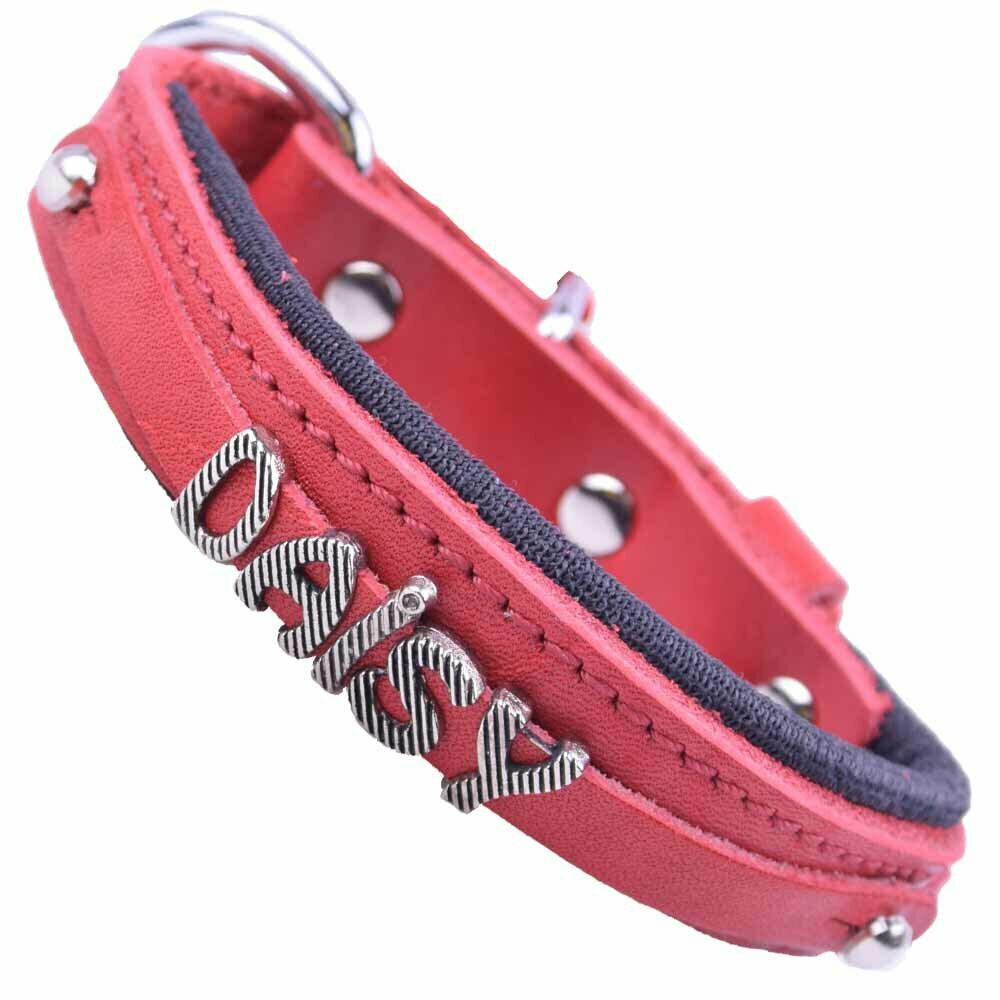 Genuine leather dog collars and cat collars from GogiPet