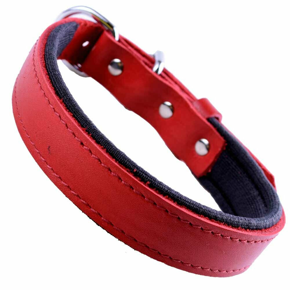 Comfortable leather dog collar red by GogiPet