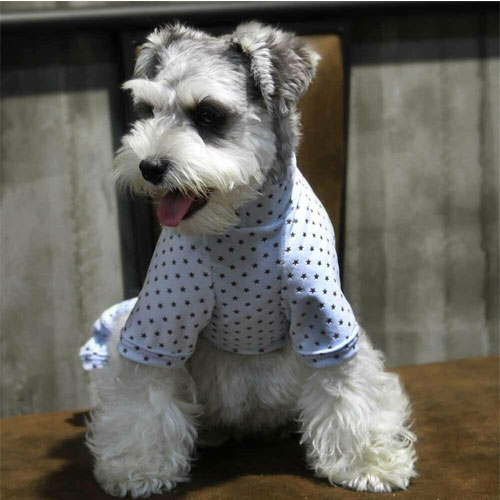 Doggy pyjamas