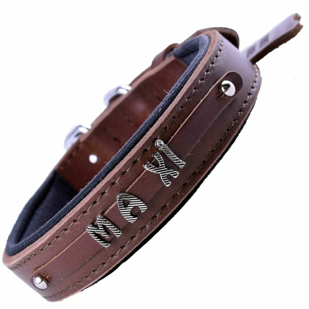 Dog collar with real leather letters
