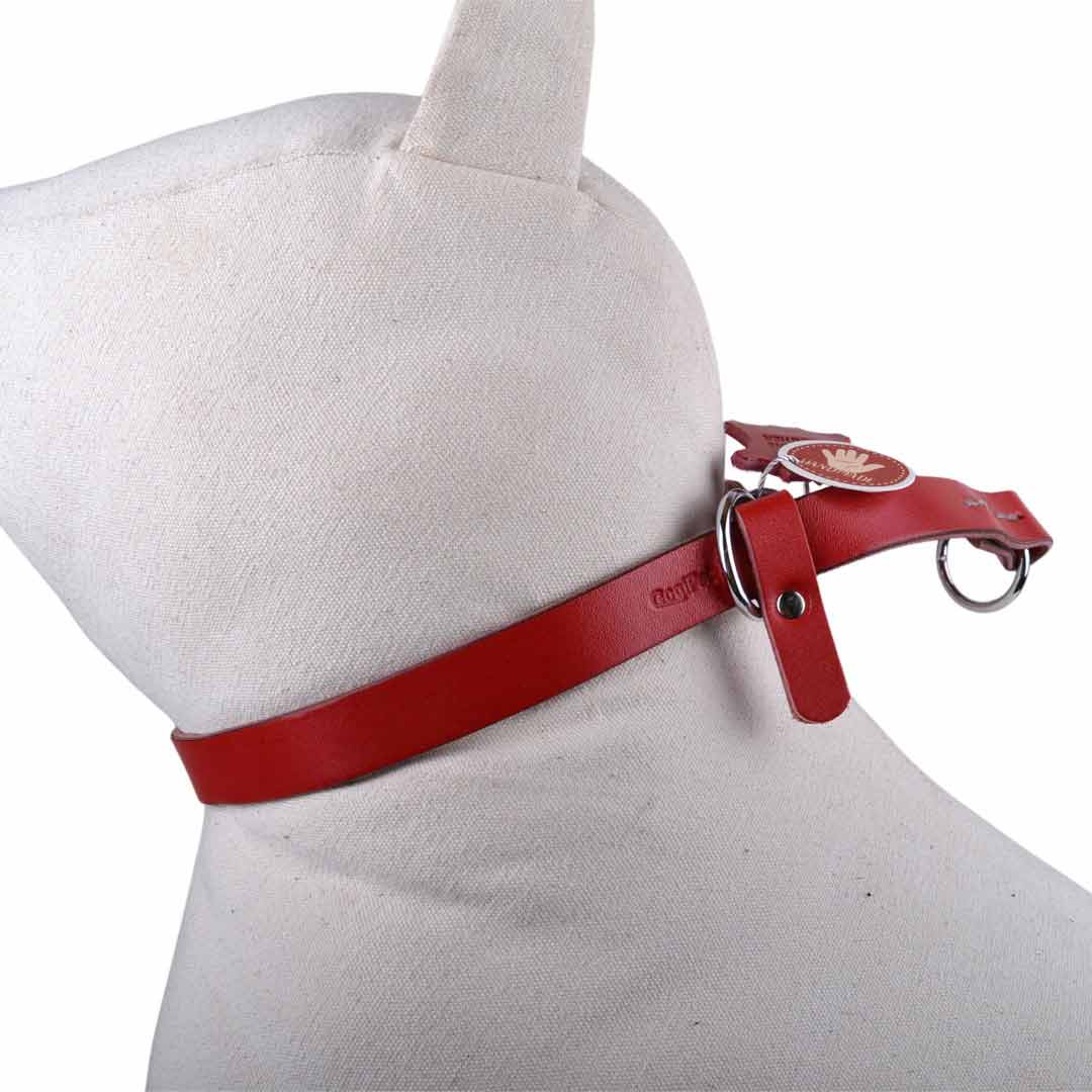 Very practical slip-on dog collar made of red genuine leather for all dog sizes