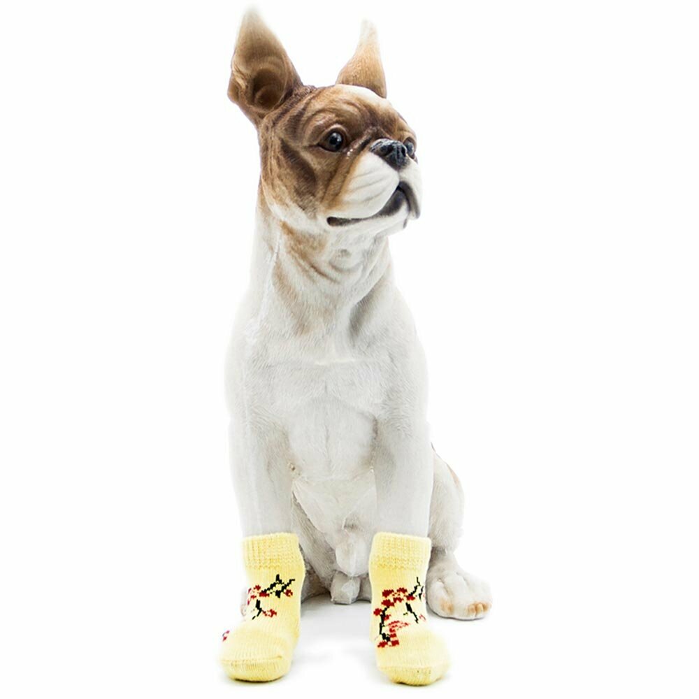 Dog socks yellow with bonsai
