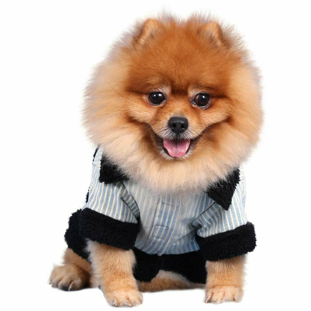 Warm lined dog coat for the cold winter