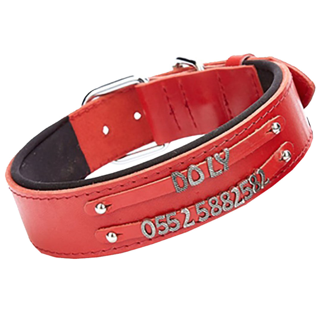 Double row name collar from GogiPet - Red comfort dog collar for letters and numbers to make your own