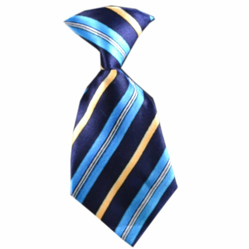 Dog tie blue striped
