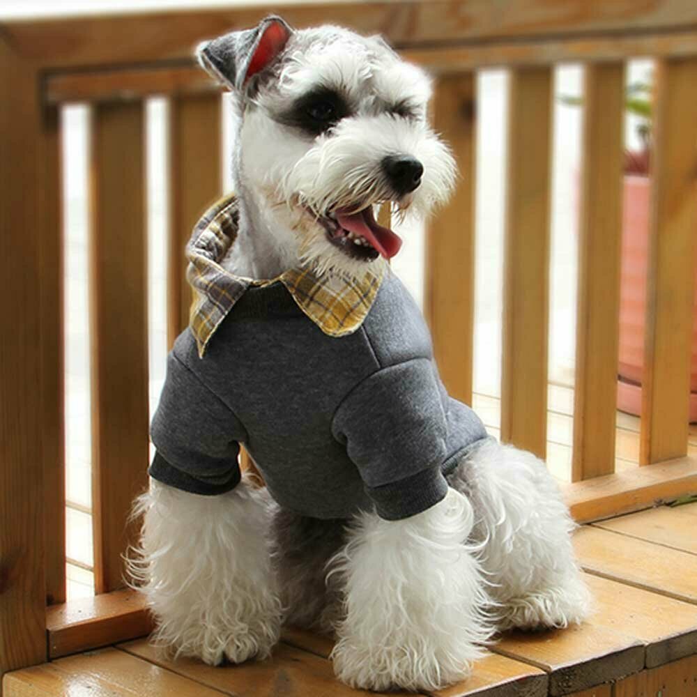 Warm dog sweater for the cold days of the year