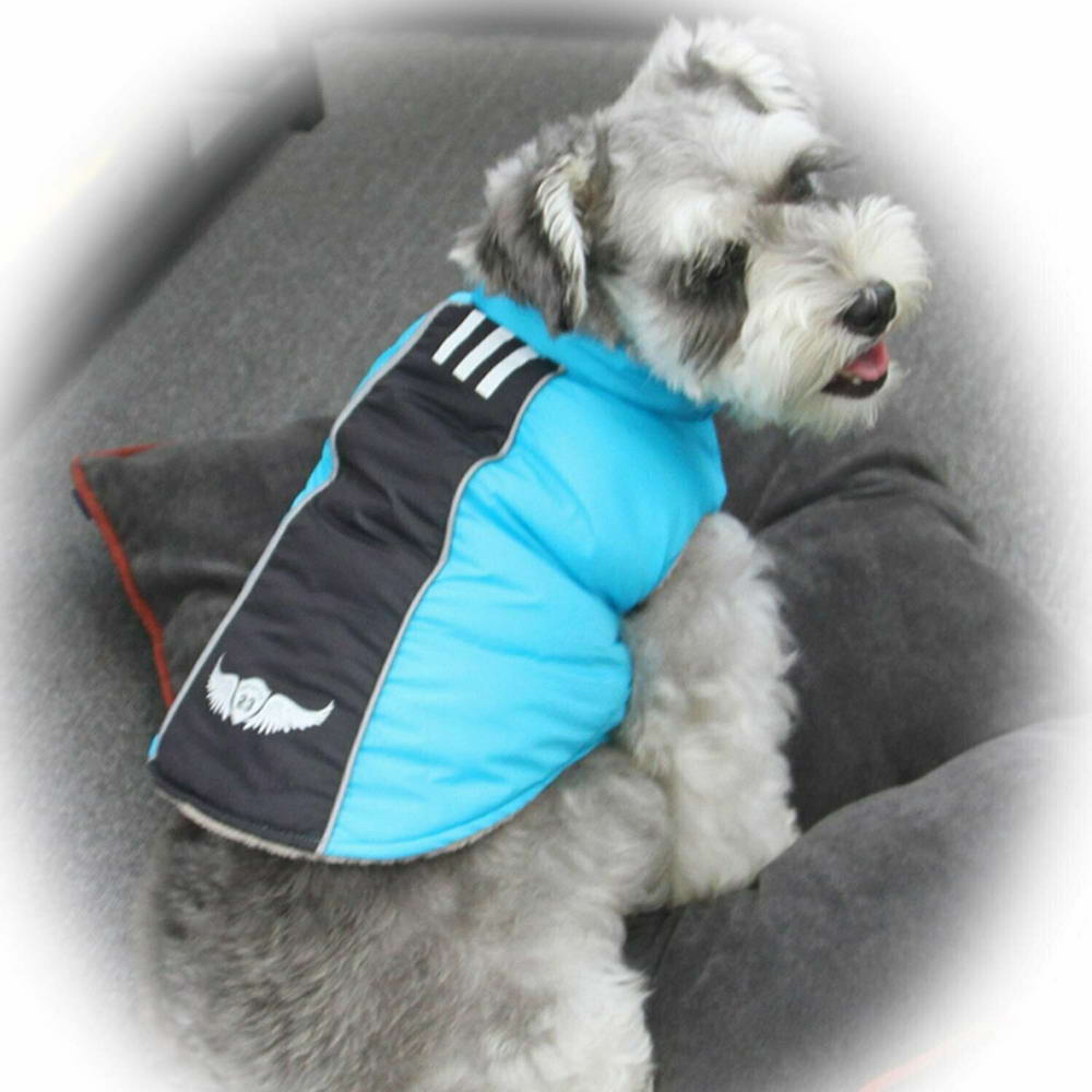 Dog fashions for small dogs by GogiPet