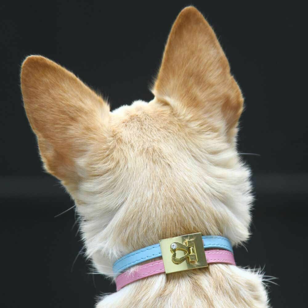 Pink Blue Dog Collar