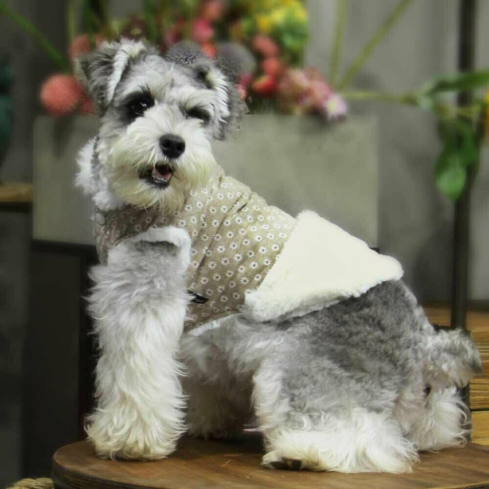 Dog jacket "Florence" Brown - Warm dog cloth