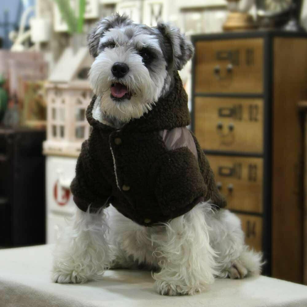 Warm dog cover for the winter - brown anorak for dogs