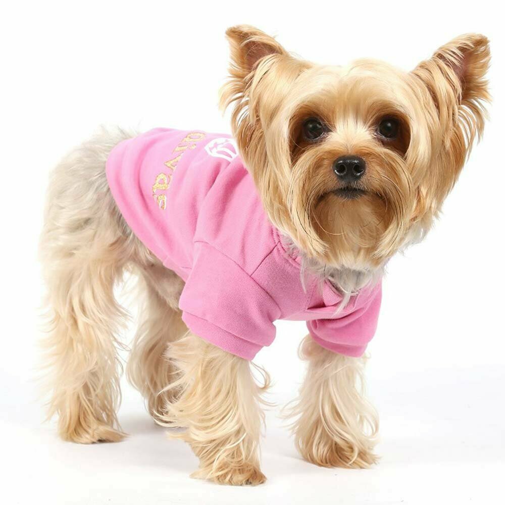 Warm dog sweater pink of DoggyDolly