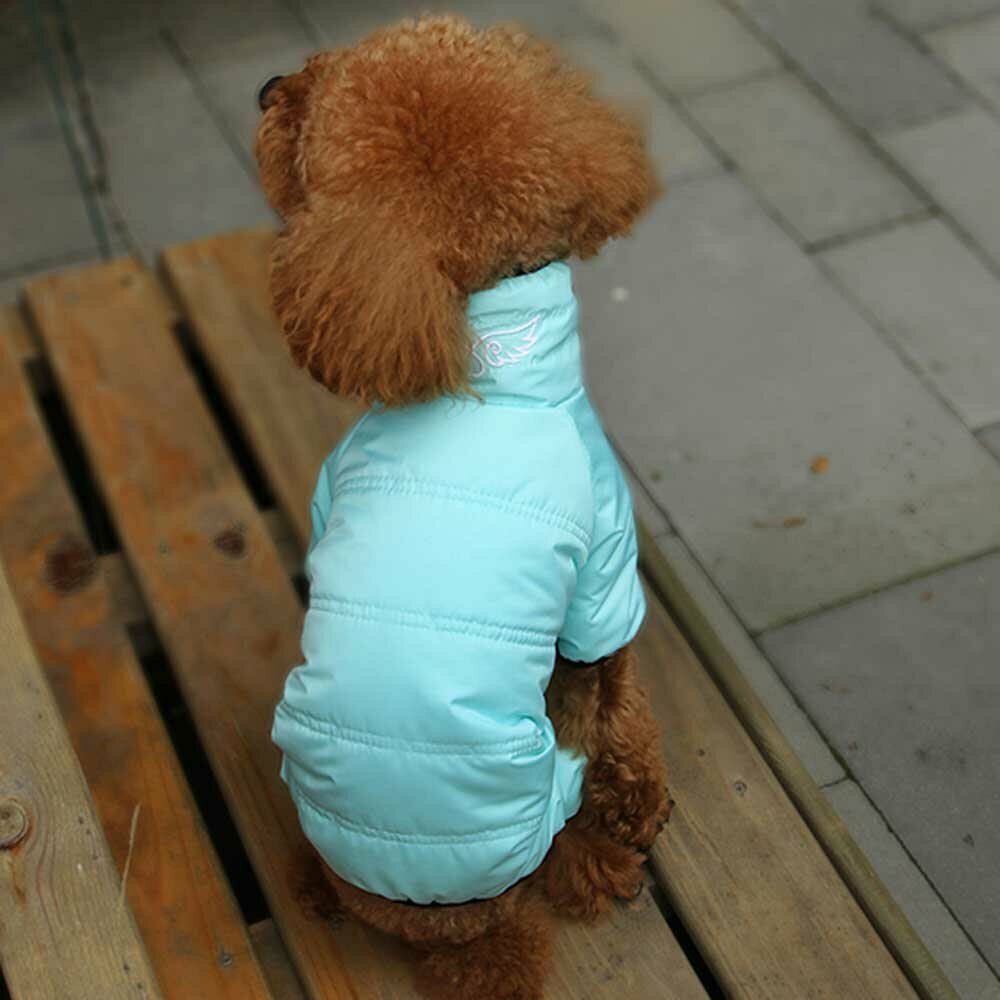 Blue Snowsuit the extra warm dog clothes