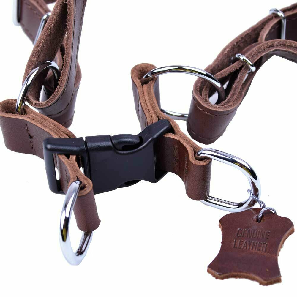 Leather dog harness with quick fastener brown