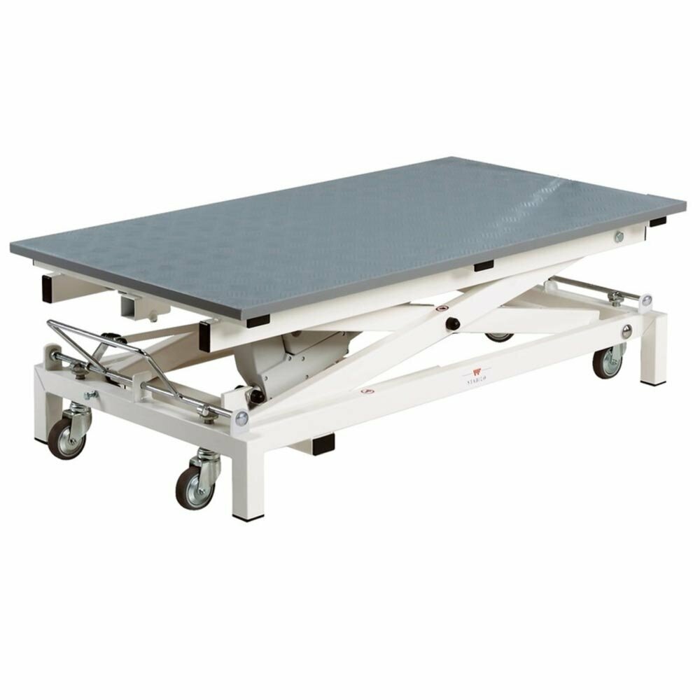 comfortable grooming table with wheels and remote control of Stabilo 120 x 65 cm for the dog groomer, breeder and veterinarian