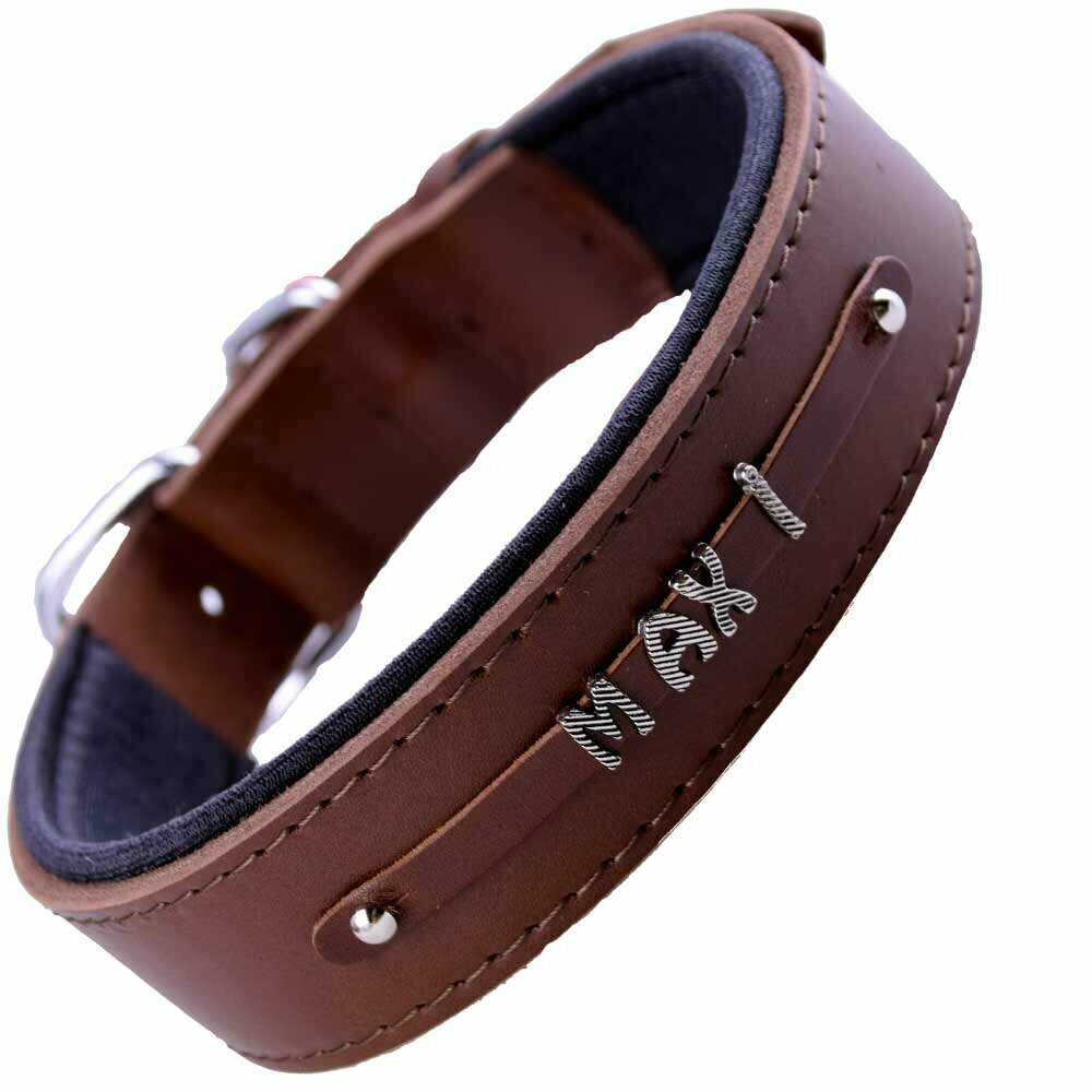 Name collars for dogs made of genuine leather from GogiPet®