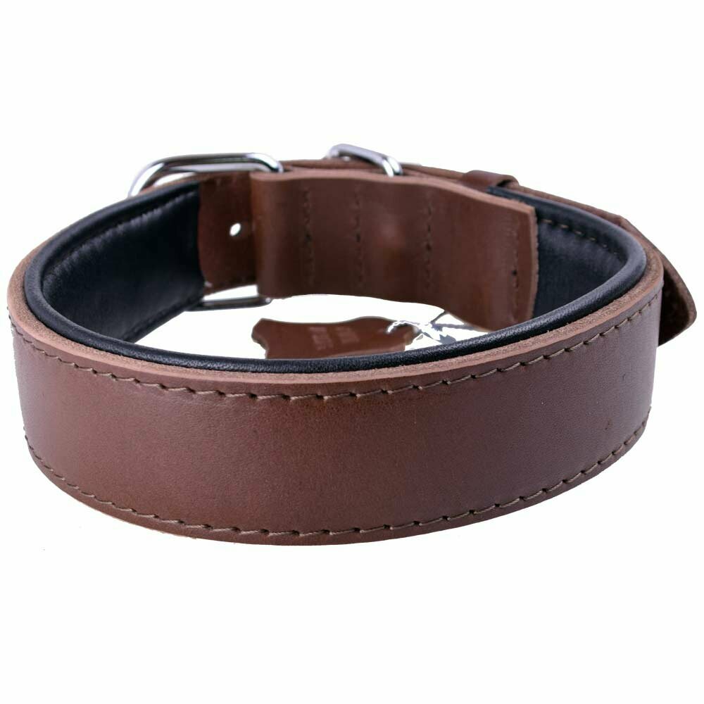 Brown leather collar from GogiPet®