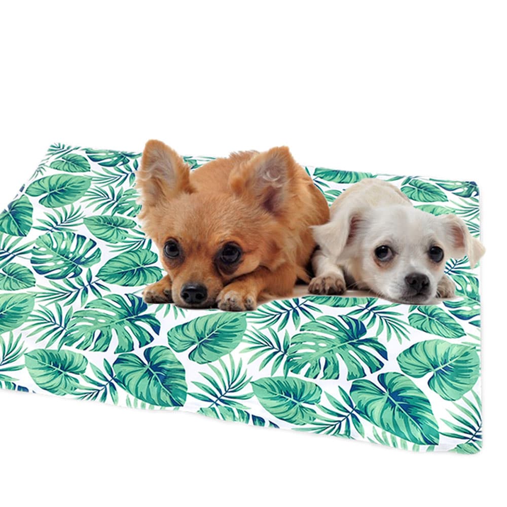 Relax mat and cooling mat for dogs