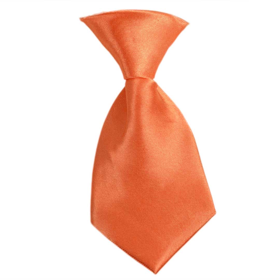 Orange self-tie for dogs