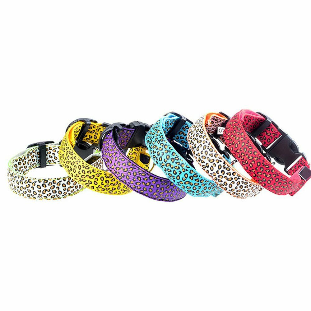 Leopard dog collar with light by GogiPet ®