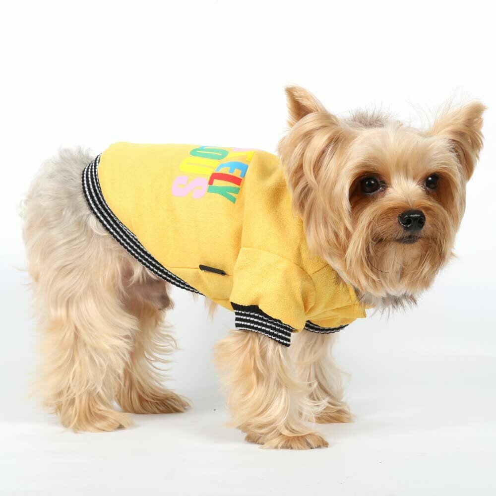 warm dog jacket for dogs yellow