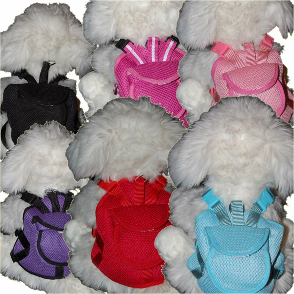 Harness the backpack design of GogiPet ® in various colors