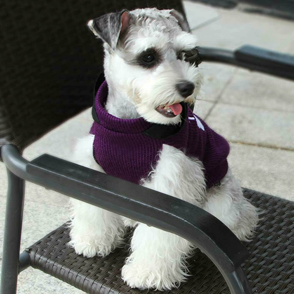 Warm dog sweater purple