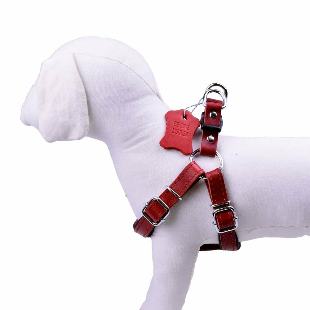 Leather harness for dogs red