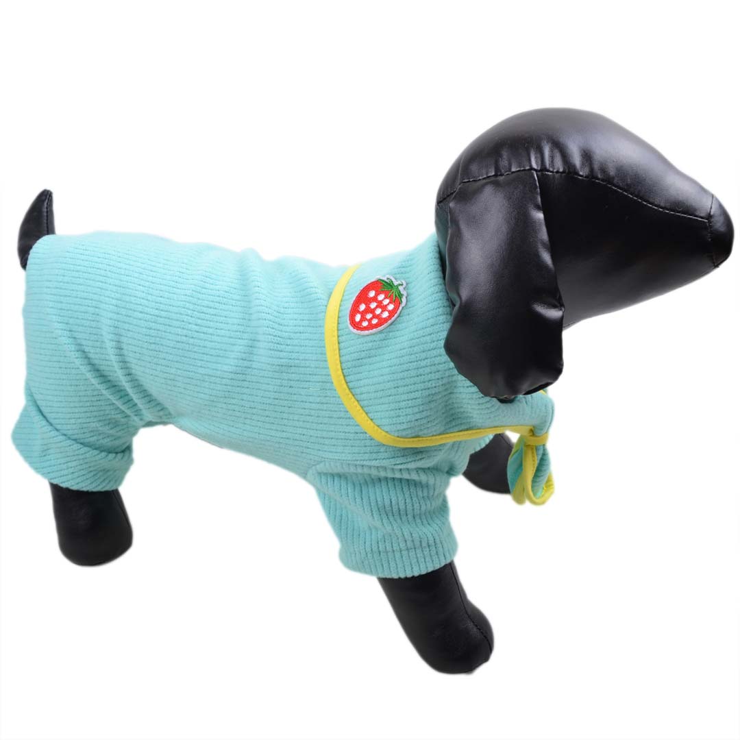 Turquoise dog romper suit -lightweight dog clothing for winter