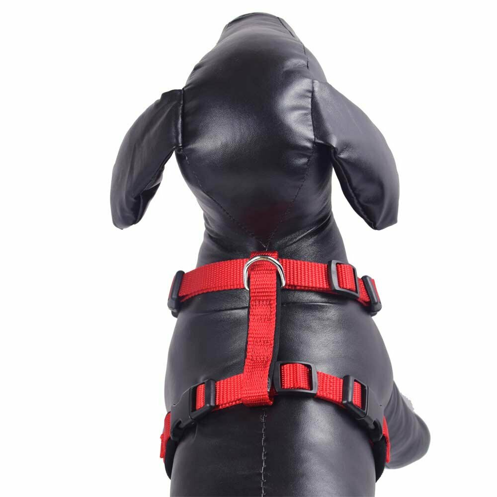 Soft dog harness for comfortable carrying comfort