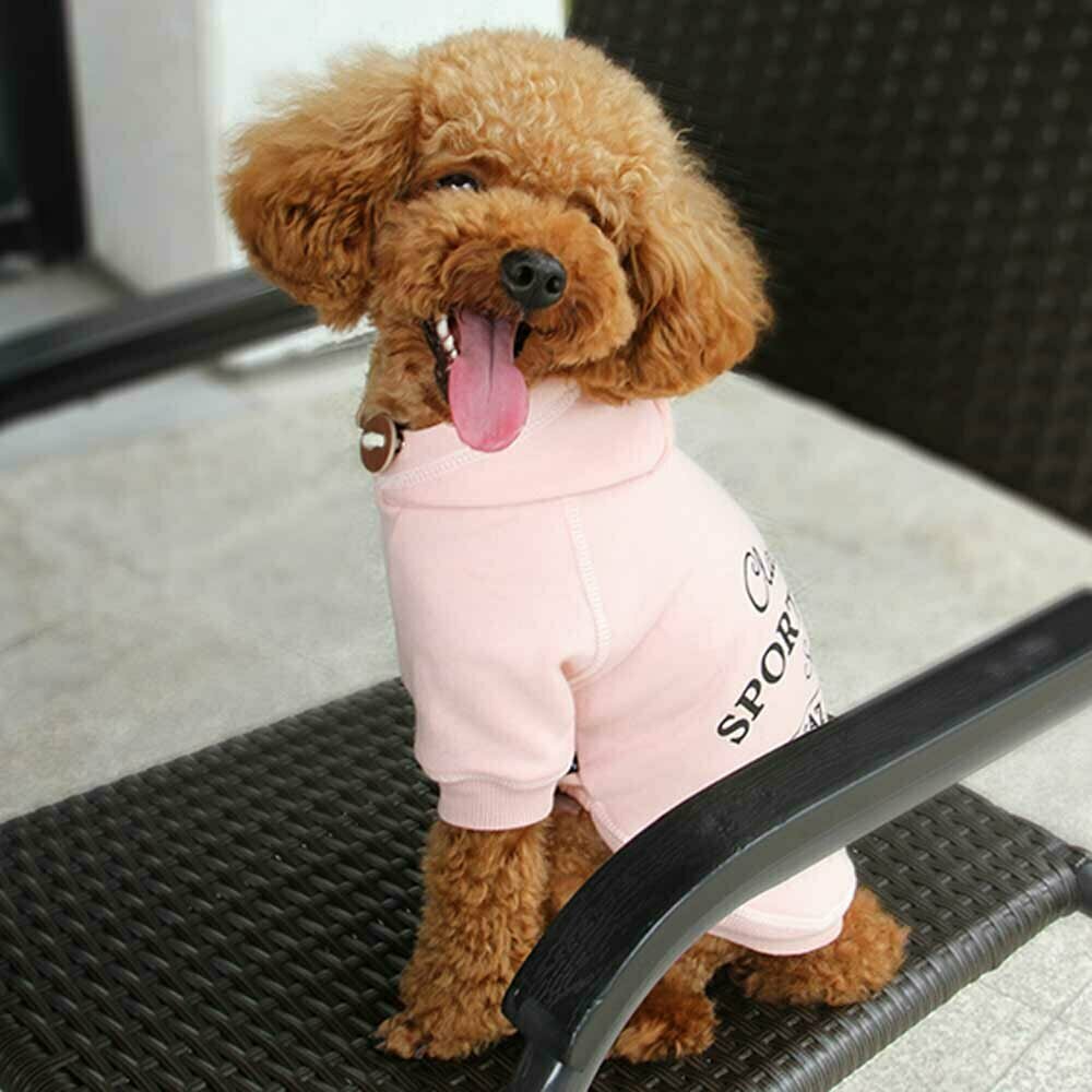 Warm dog sweater pink