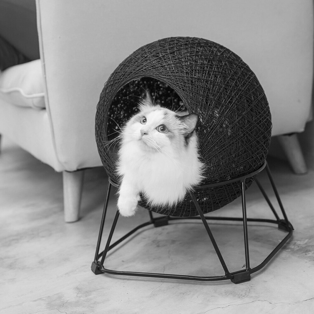 Elegant cat bed for your living room