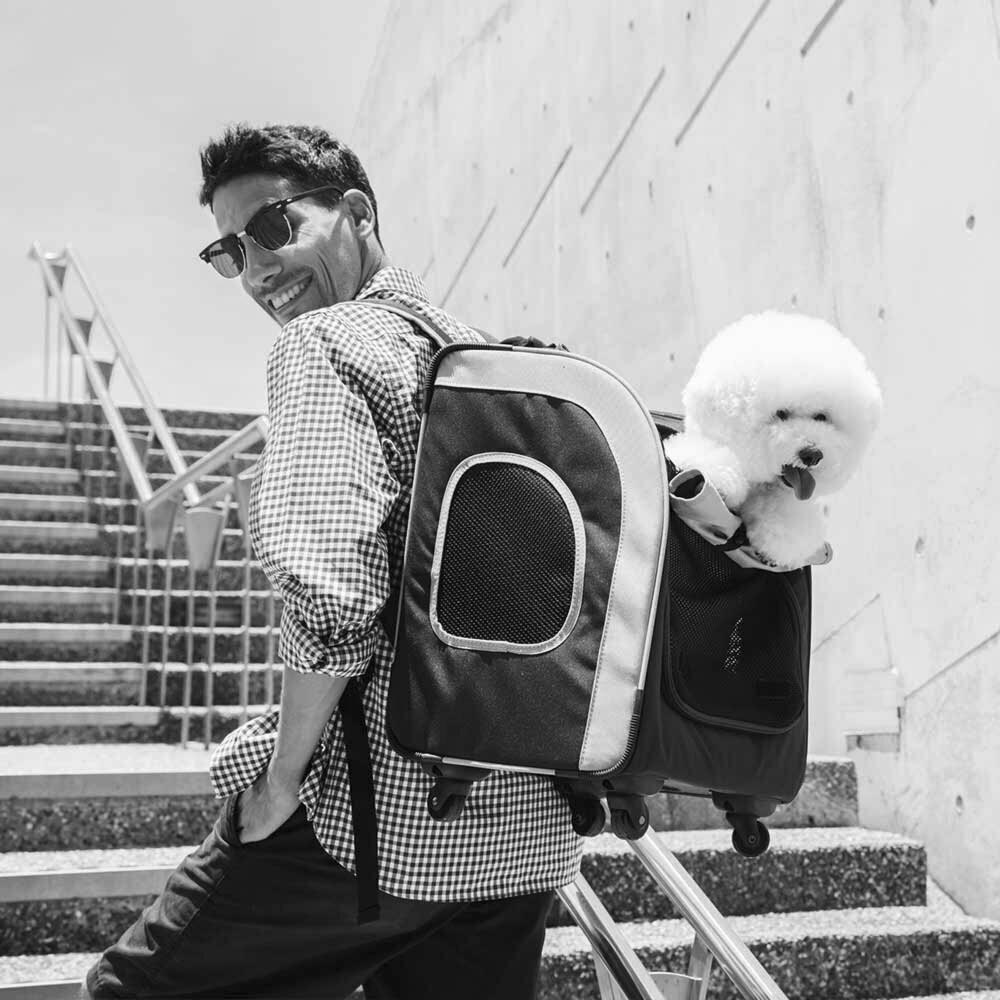 High quality dog backpack