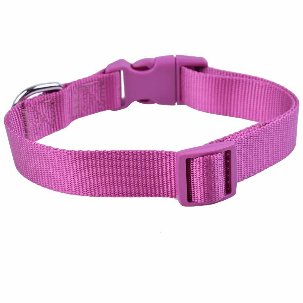 Super premium dog collar with click closure for large and small dogs